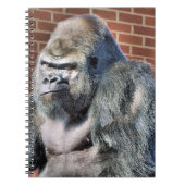CARNET FUN GORILLA (Devant)