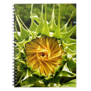 Carnet Fun jaune floral tournesol