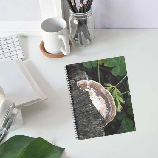 Carnet Fungus polypores sur souche d'arbre