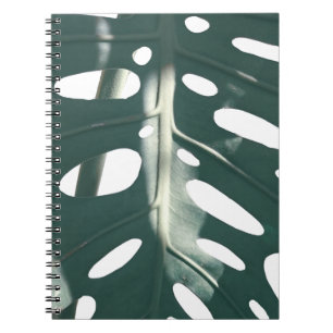 Carnet Funky Pale Green Plante de fromage suisse