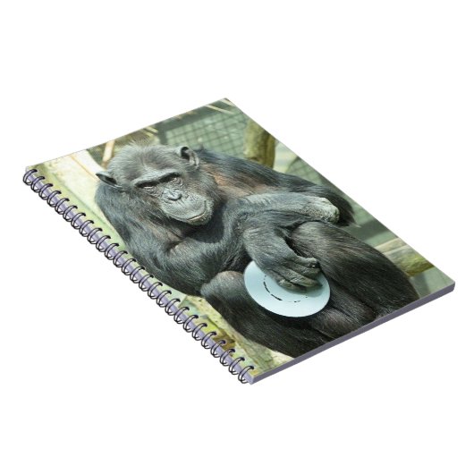 CARNET FUNNY CHIMPANZEE (Côté Droit)