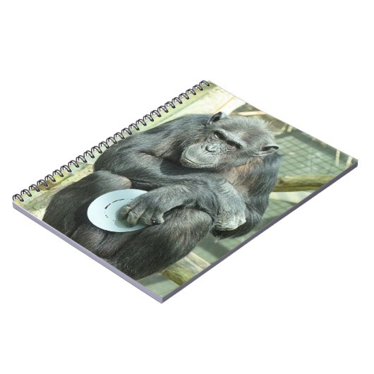 CARNET FUNNY CHIMPANZEE (Côté gauche)