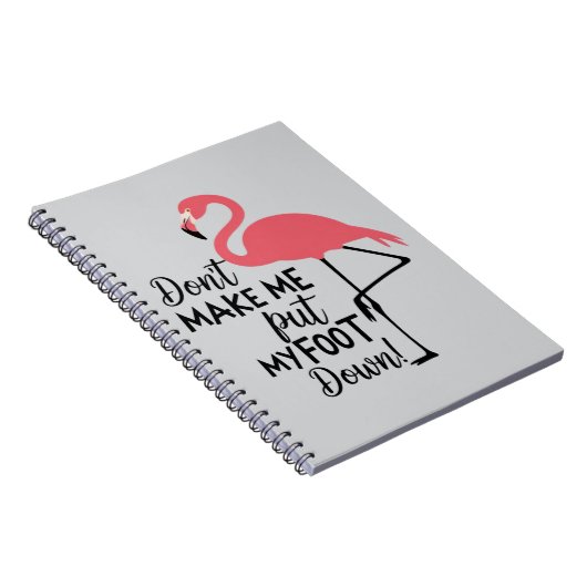 Carnet Funny Flamingo Don't Make Me Put My Foot Down (Côté Droit)