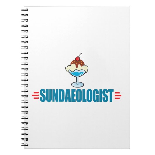 Carnet Funny Ice Cream Sundae (Devant)