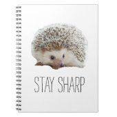 Carnet Funny mignon hérisson rester pointu citation hipst (Devant)