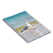 Carnet Funny seagull (Côté Droit)