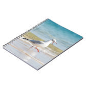 Carnet Funny seagull (Côté gauche)