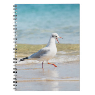 Carnet Funny seagull