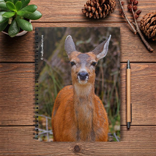 Carnet Funny Young Blacktail Deer sourit à un photographe