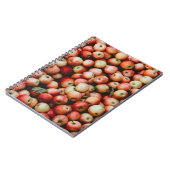 CARNET GALA POMMES (Côté gauche)