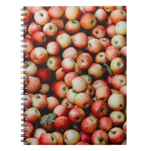 CARNET GALA POMMES (Devant)
