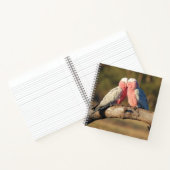 Carnet Galahs roses (Intérieur)