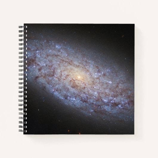 Carnet Galaxie naine Ngc 5949. (Devant)