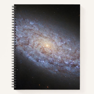 Carnet Galaxie naine Ngc 5949.