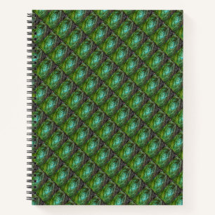 Carnet Galaxy