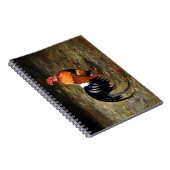 Carnet Gallo/Galo/Rooster (Côté Droit)