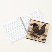 Carnet Galus Sonneratii du 19e siècle (Intérieur)