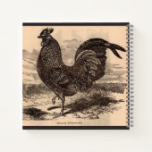 Carnet Galus Sonneratii du 19e siècle (Dos)