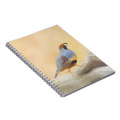 Carnet Gambrel's Quail Painting Original Bird Art (Côté Droit)