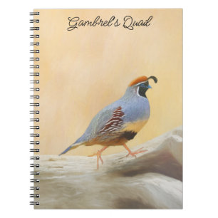 Carnet Gambrel's Quail Painting Original Bird Art