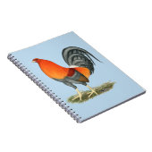 Carnet Gamecock Blue Red Roster (Côté Droit)