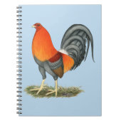 Carnet Gamecock Blue Red Roster (Devant)