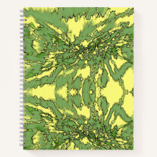 Carnet Gamma Burst