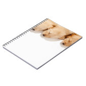 Carnet Gamme de Marionnettes dormantes (Côté gauche)