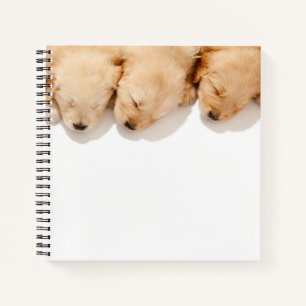 Carnet Gamme de Marionnettes dormantes