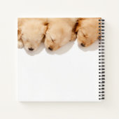 Carnet Gamme de Marionnettes dormantes (Dos)