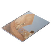 Carnet Garçon et singe 2010 (Côté gauche)
