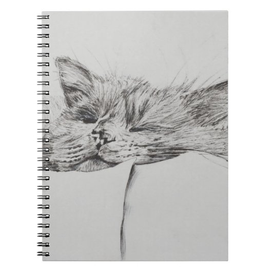 Carnet Garçon somnolent de Monty (Devant)