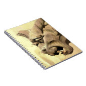 CARNET GARGOYLE (Côté Droit)