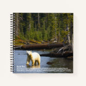 Carnet Garniture d'ours d'esprit (Devant)