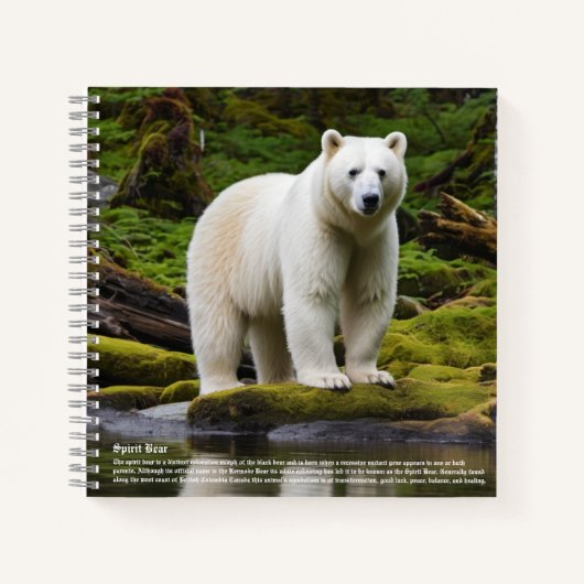 Carnet Garniture d'ours d'esprit (Devant)
