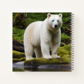 Carnet Garniture d'ours d'esprit (Dos)