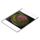 Carnet Gâteau d'anniversaire 3 (Côté gauche)