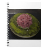 Carnet Gâteau d'anniversaire 3 (Devant)