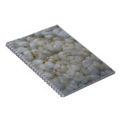 Carnet Gâteau de riz, Alimentation saine, Snack blanc (Côté Droit)