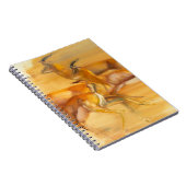 Carnet Gazelles courantes 2010 (Côté Droit)