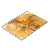 Carnet Gazelles courantes 2010 (Côté gauche)