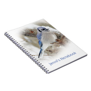 Carnet Geai bleu dans la neige d'hiver