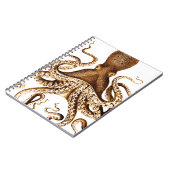 Carnet géant de calmar de mer (Côté gauche)