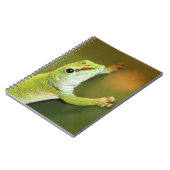 Carnet Gecko (Côté gauche)