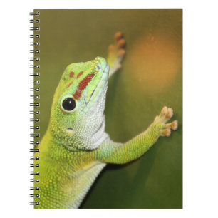 Carnet Gecko