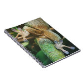Carnet Gecko Feet (Côté Droit)