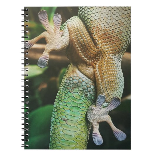 Carnet Gecko Feet (Devant)