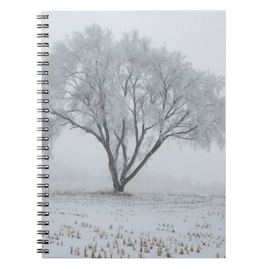 Carnet Gelée sur un arbre solitaire (Devant)