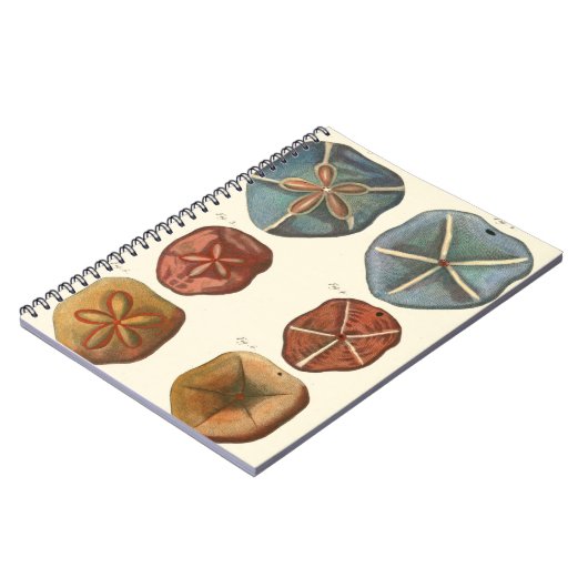 Carnet Gemmes Dollars De Sable (Côté gauche)