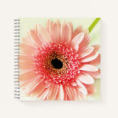 Carnet Gerbera Daisy (Devant)